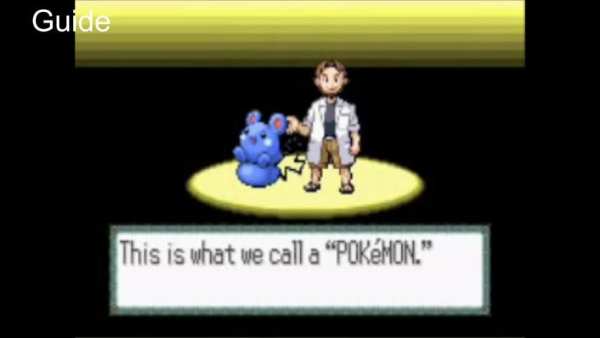 CODE For Pokemon Ruby(GBA) screenshot 2