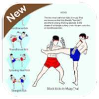 Muay Thai Technique on 9Apps