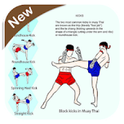 Muay Thai Technique आइकन