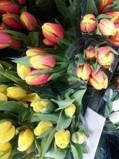 Flowers Collection Animated Images Gif screenshot 3
