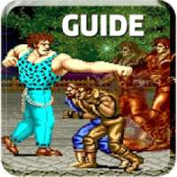 New Guide For Final Fight