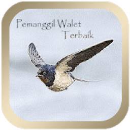 Pemanggil Walet Terbaik 1.2