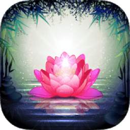 Free Guided Meditation