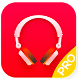 Music Player Elegant Pro icon