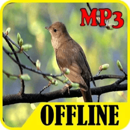 Suara Burung Nightingale Offline icon
