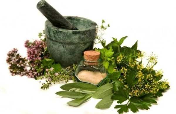 Plantas Medicinales 1 تصوير الشاشة