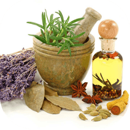 Plantas Medicinales icon