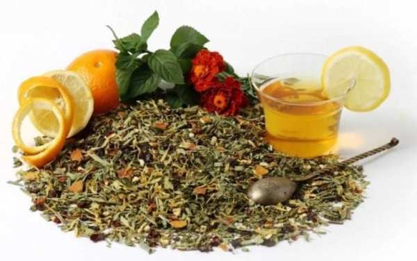 Plantas Medicinales 2 تصوير الشاشة