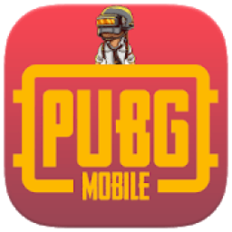 ikon Flash player for pubg graphics + plugin simulator