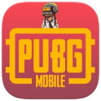 Flash player for pubg graphics + plugin simulator