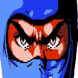 Ninja of Gaiden 2.1