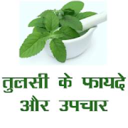 तुलसी (Tulsi) के फायदे और उपचार