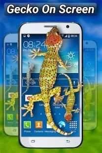 Gecko on Screen screenshot 9