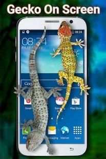 Gecko on Screen screenshot 11