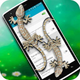 ikon Gecko on Screen