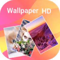 WallPapers : HD & 4k Backgrounds on 9Apps