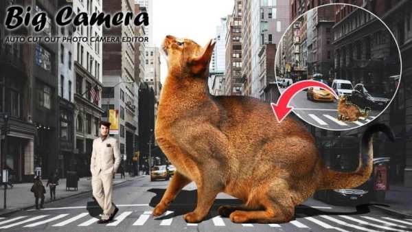 Big Camera - Auto Cut Out - Photo Cut Paste screenshot 6