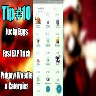 Guide Pokemon Go screenshot 6