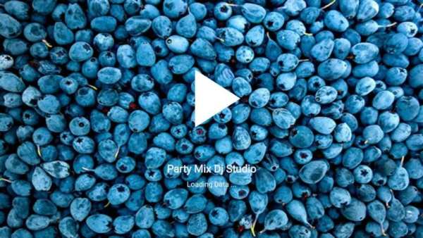 Party Mix Dj Studio 3 تصوير الشاشة