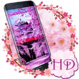 Cherry Blossom APUS Live Wallpaper