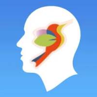 Psychotherapy Brisbane on 9Apps