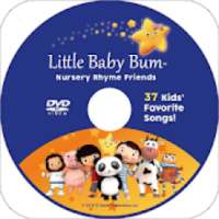 Little Baby Bum
