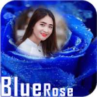 Blue rose photo frames on 9Apps