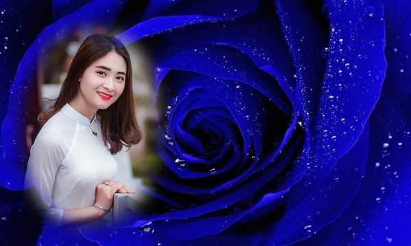 Blue rose photo frames screenshot 5