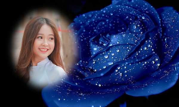 Blue rose photo frames screenshot 2