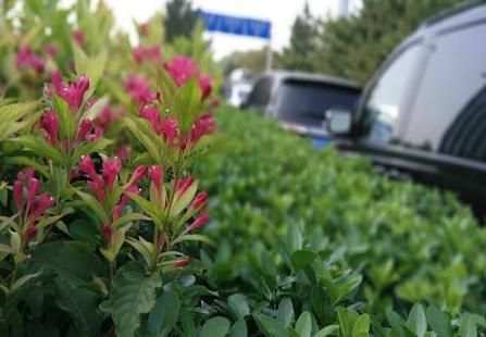 camera for vivo screenshot 3