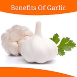 Health Benefits Of Garlic आइकन