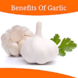 Health Benefits Of Garlic