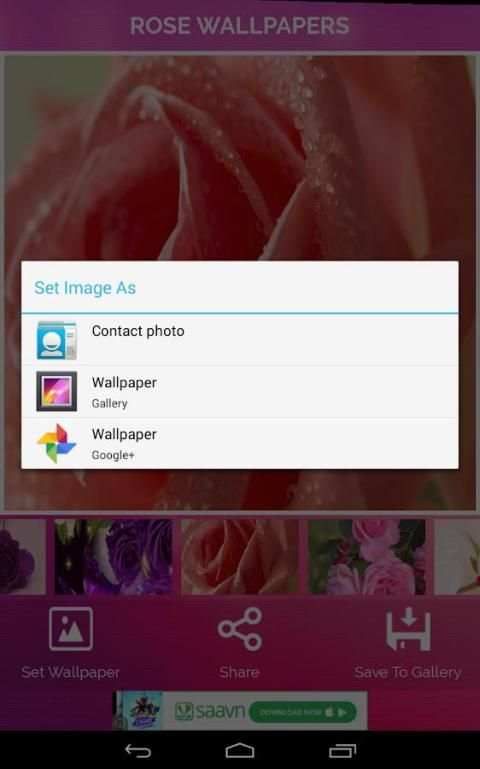 Rose Wallpaper screenshot 3