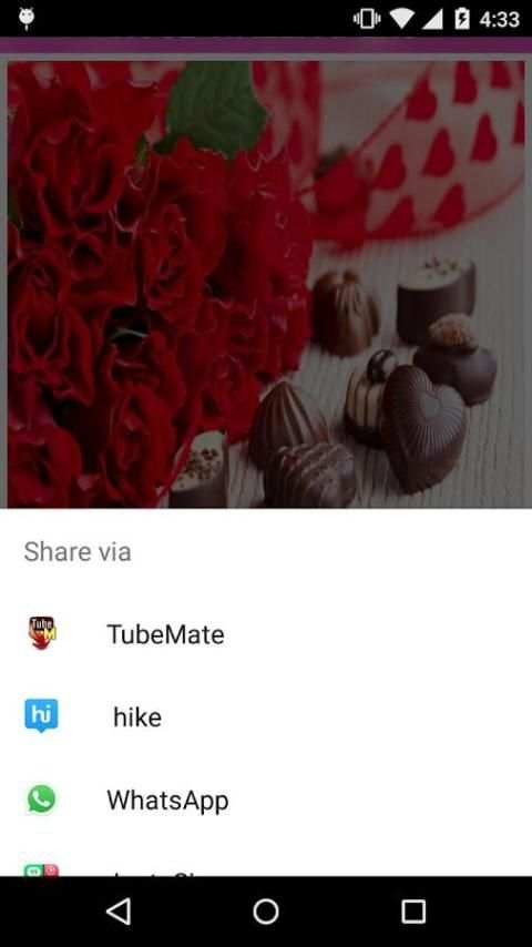 Rose Wallpaper screenshot 5