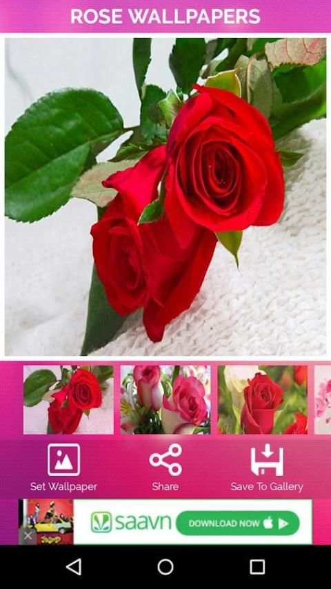 Rose Wallpaper screenshot 9