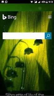 World Browser screenshot 4
