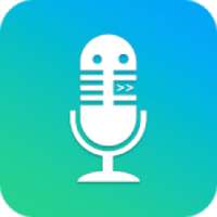 Voice Changer with effects