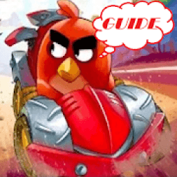 Tips Angry Birds Go आइकन
