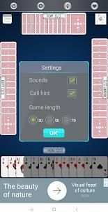 CALL-BRIDGE screenshot 2