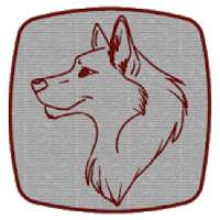 Animal Drawing Ideas