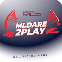 MLD FLYING GAME icon