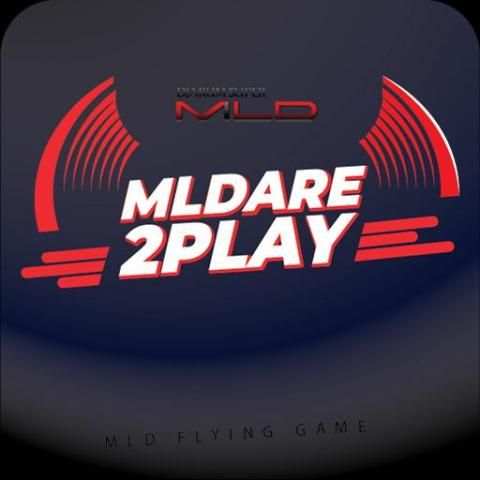 MLD FLYING GAME screenshot 2