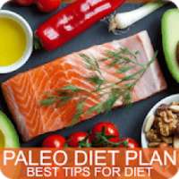 Paleo Vegetarian Diet on 9Apps