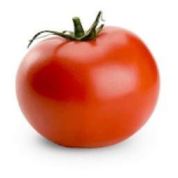 Tomato Messenger 1.0