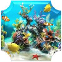 Real Fish Live Video Wallpaper