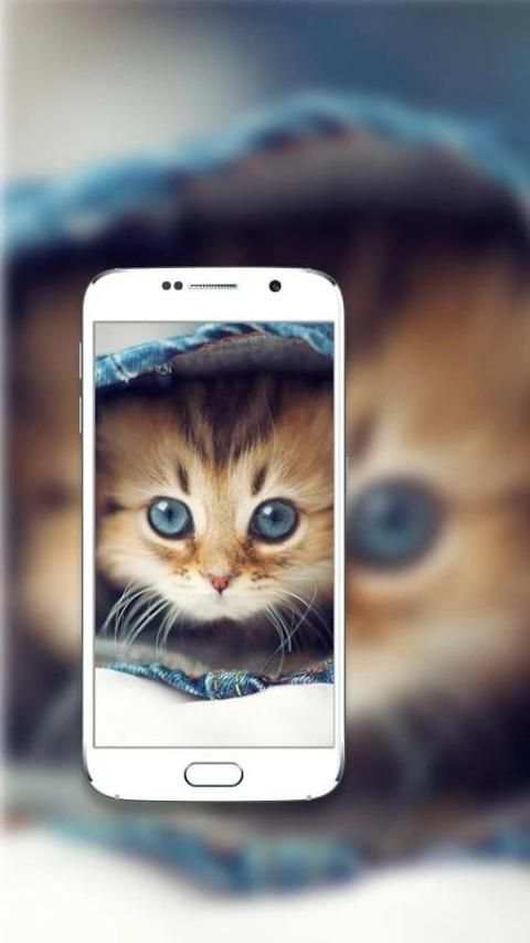 Filter Camera - Motion sticker screenshot 2
