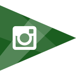 Instagram DP आइकन