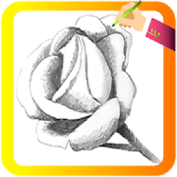 ikon How to Draw Flowers