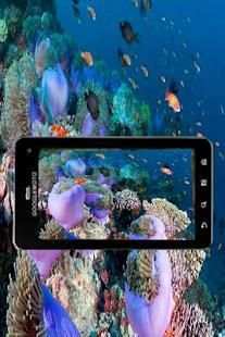 HDcamera screenshot 2