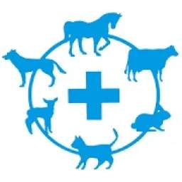 Bluecross